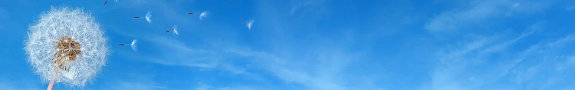 Search Results for Ventilation Products