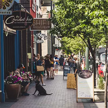 Ventilation Application Guides